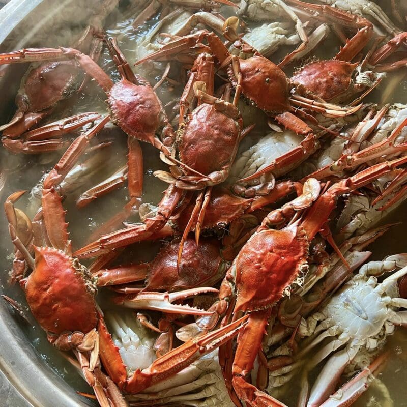 Crabs